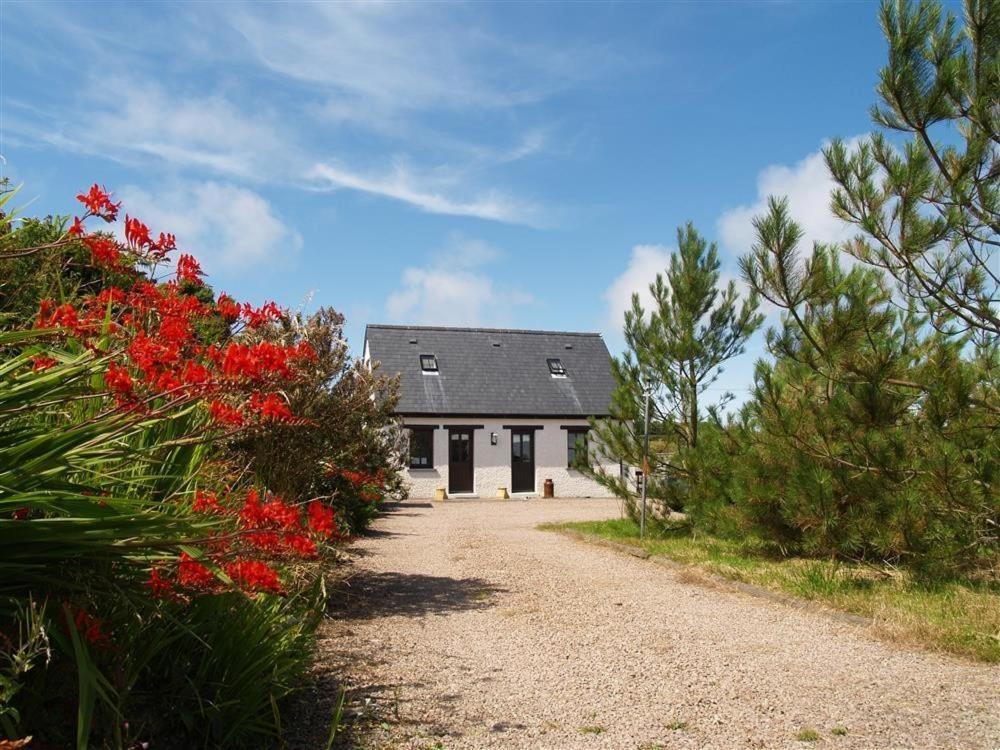 Cockshead Cottage Saint Dogmaels ภายนอก รูปภาพ